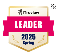 IT Review LEADER 2025 Spring